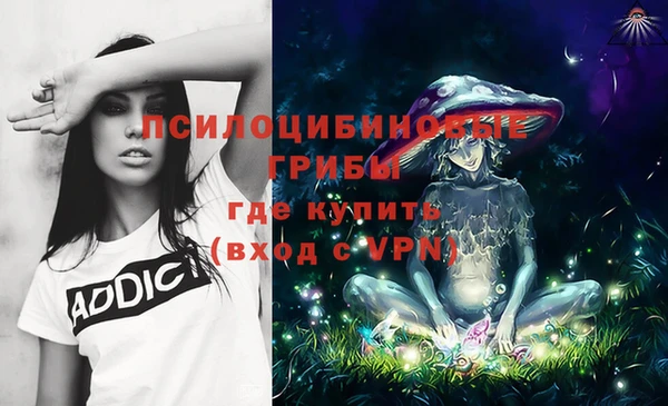 гидра Абдулино