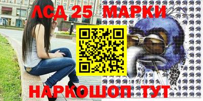 стафф Донецк