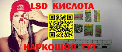 стафф Донецк