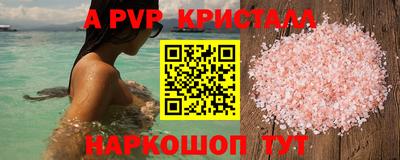 стафф Донецк