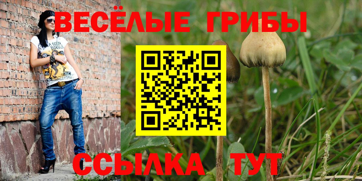 Моздок  Галлюциногенные грибы Psilocybine cubensis  закладки  Вход с VPN  Галлюциногенные грибы Psilocybe 