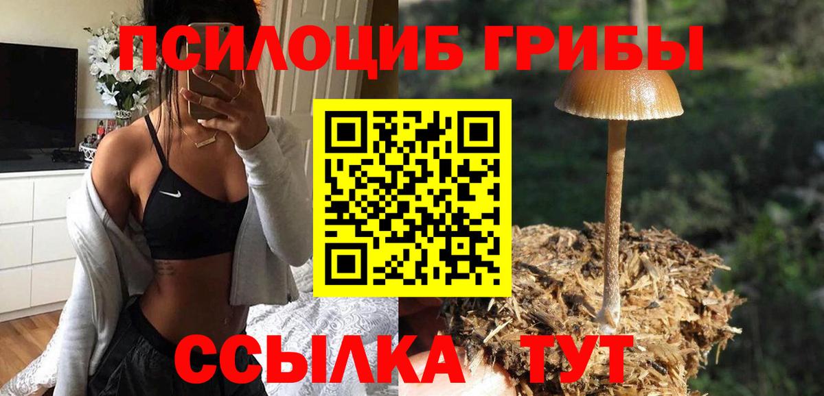 Псилоцибиновые грибы MAGIC MUSHROOMS Моздок